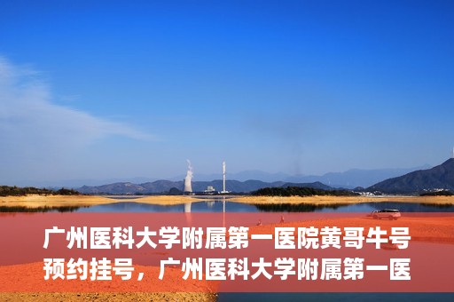 广州医科大学附属第一医院黄哥牛号预约挂号，广州医科大学附属第一医院黄哥名医牛号预约挂号攻略