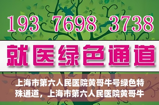 上海市第六人民医院黄哥牛号绿色特殊通道，上海市第六人民医院黄哥牛号，绿色特殊通道开启
