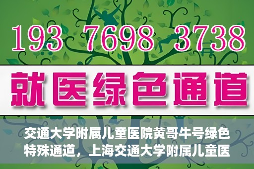 交通大学附属儿童医院黄哥牛号绿色特殊通道，上海交通大学附属儿童医院黄哥牛号绿色特殊通道揭秘