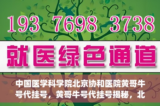 中国医学科学院北京协和医院黄哥牛号代挂号，黄哥牛号代挂号揭秘，北京协和医院挂号背后的故事