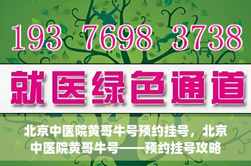 北京中医院黄哥牛号预约挂号，北京中医院黄哥牛号——预约挂号攻略