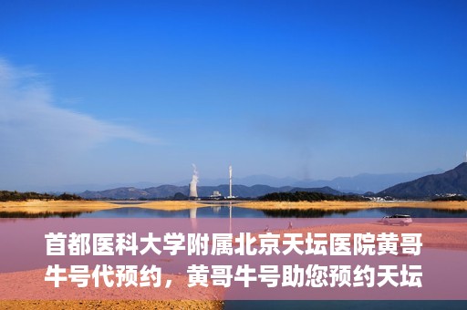 首都医科大学附属北京天坛医院黄哥牛号代预约，黄哥牛号助您预约天坛医院——权威医疗预约服务体验