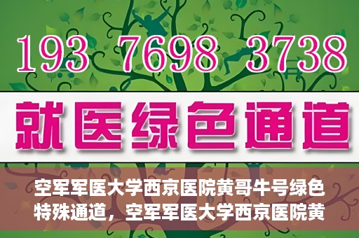 空军军医大学西京医院黄哥牛号绿色特殊通道，空军军医大学西京医院黄哥牛号，绿色特殊通道开启健康之门