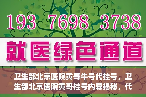 卫生部北京医院黄哥牛号代挂号，卫生部北京医院黄哥挂号内幕揭秘，代挂号背后的故事