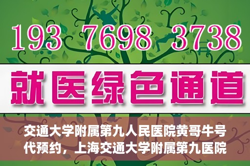 交通大学附属第九人民医院黄哥牛号代预约，上海交通大学附属第九医院黄哥预约挂号服务启动，便捷就医新选择