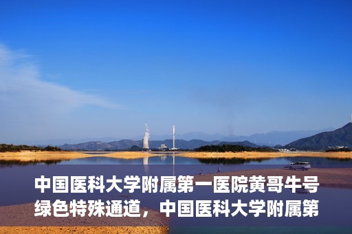 中国医科大学附属第一医院黄哥牛号绿色特殊通道，中国医科大学附属第一医院黄哥牛号，绿色特殊通道的开启与探索