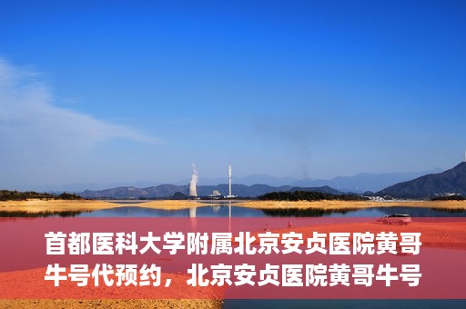 首都医科大学附属北京安贞医院黄哥牛号代预约，北京安贞医院黄哥牛号预约服务解析