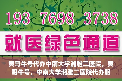 黄哥牛号代办中南大学湘雅二医院，黄哥牛号，中南大学湘雅二医院代办服务详解