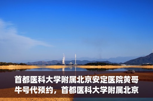 首都医科大学附属北京安定医院黄哥牛号代预约，首都医科大学附属北京安定医院黄哥牛号预约服务解析