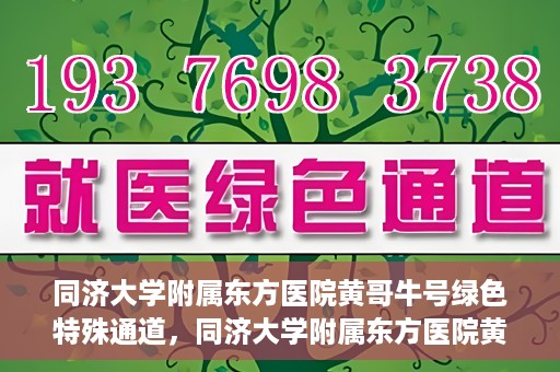 同济大学附属东方医院黄哥牛号绿色特殊通道，同济大学附属东方医院黄哥牛号，绿色特殊通道开启健康之门