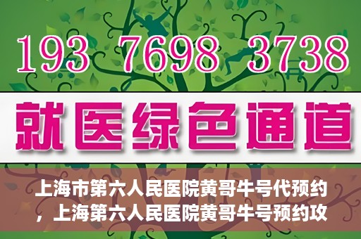 上海市第六人民医院黄哥牛号代预约，上海第六人民医院黄哥牛号预约攻略，轻松解决挂号难题