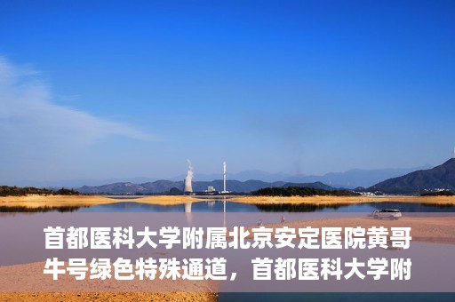 首都医科大学附属北京安定医院黄哥牛号绿色特殊通道，首都医科大学附属北京安定医院黄哥牛号绿色特殊通道，探索与实践