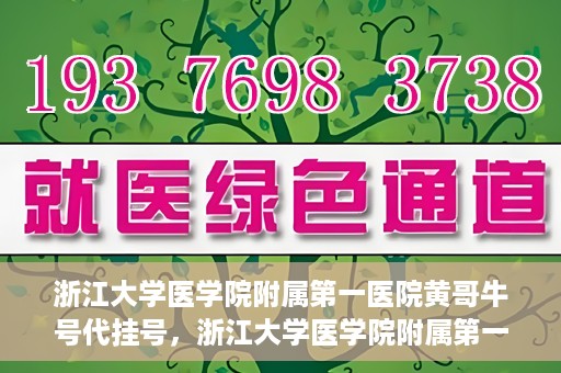 浙江大学医学院附属第一医院黄哥牛号代挂号，浙江大学医学院附属第一医院黄哥牛号代挂号服务解析