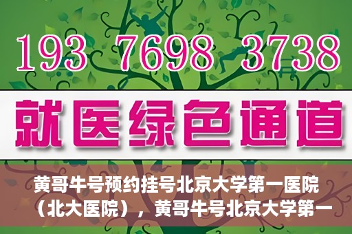 黄哥牛号预约挂号北京大学第一医院（北大医院），黄哥牛号北京大学第一医院预约挂号启动