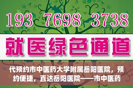 代预约市中医药大学附属岳阳医院，预约便捷，直达岳阳医院——市中医药大学附属岳阳医院预约指南