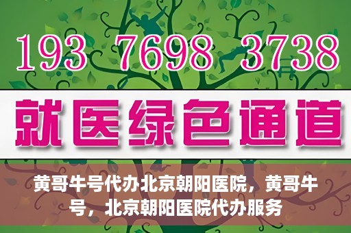 黄哥牛号代办北京朝阳医院，黄哥牛号，北京朝阳医院代办服务
