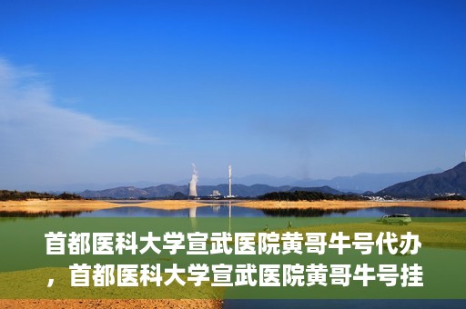 首都医科大学宣武医院黄哥牛号代办，首都医科大学宣武医院黄哥牛号挂号代办攻略