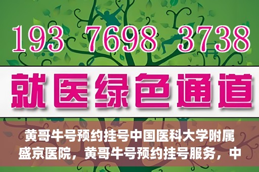 黄哥牛号预约挂号中国医科大学附属盛京医院，黄哥牛号预约挂号服务，中国医科大学附属盛京医院便捷就医新体验