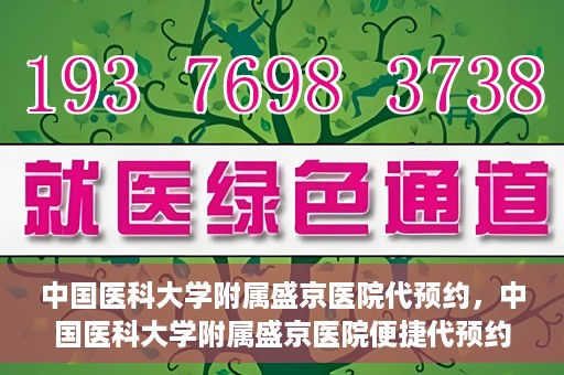 中国医科大学附属盛京医院代预约，中国医科大学附属盛京医院便捷代预约服务解析