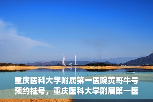 重庆医科大学附属第一医院黄哥牛号预约挂号，重庆医科大学附属第一医院黄哥牛号预约挂号攻略