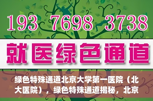 绿色特殊通道北京大学第一医院（北大医院），绿色特殊通道揭秘，北京大学第一医院（北大医院）的医学探索之旅