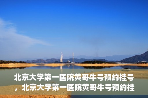 北京大学第一医院黄哥牛号预约挂号，北京大学第一医院黄哥牛号预约挂号攻略，轻松挂号，无忧就医体验