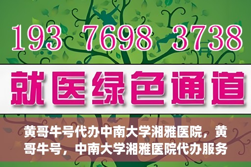 黄哥牛号代办中南大学湘雅医院，黄哥牛号，中南大学湘雅医院代办服务详解