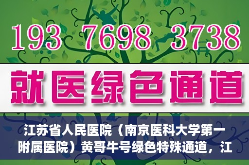 江苏省人民医院（南京医科大学第一附属医院）黄哥牛号绿色特殊通道，江苏省人民医院绿色特殊通道，黄哥牛号的医疗速度与温情服务