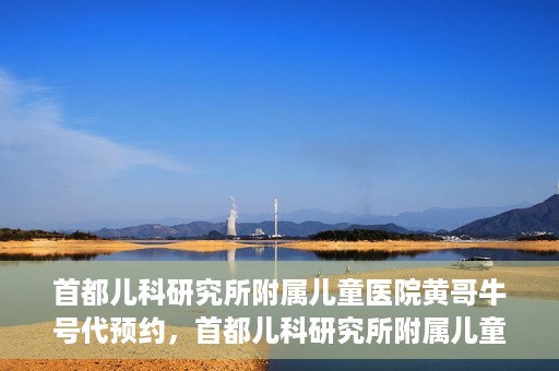 首都儿科研究所附属儿童医院黄哥牛号代预约，首都儿科研究所附属儿童医院黄哥预约服务详解