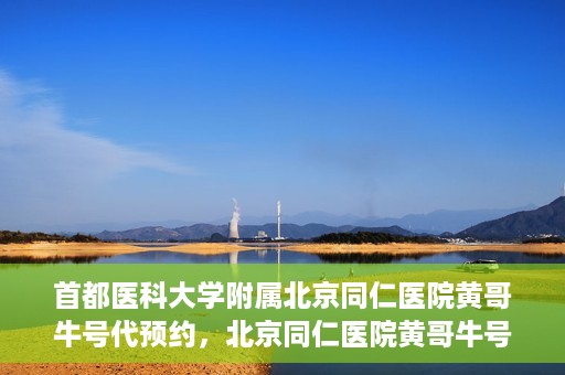 首都医科大学附属北京同仁医院黄哥牛号代预约，北京同仁医院黄哥牛号预约服务解析