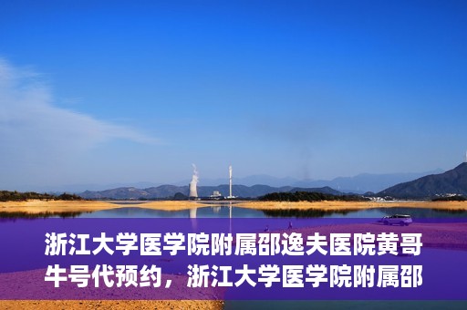 浙江大学医学院附属邵逸夫医院黄哥牛号代预约，浙江大学医学院附属邵逸夫医院黄哥牛号预约服务解析