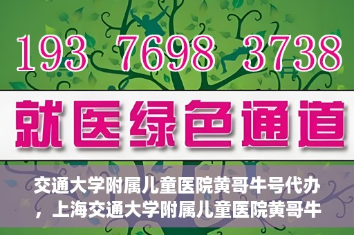 交通大学附属儿童医院黄哥牛号代办，上海交通大学附属儿童医院黄哥牛号代办揭秘，真相与警示