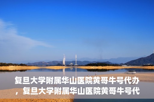 复旦大学附属华山医院黄哥牛号代办，复旦大学附属华山医院黄哥牛号代办，就医无忧，专业代办服务助您轻松就医体验