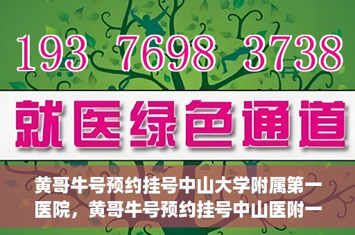黄哥牛号预约挂号中山大学附属第一医院，黄哥牛号预约挂号中山医附一院，一站式便捷就医体验
