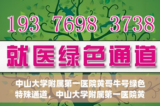 中山大学附属第一医院黄哥牛号绿色特殊通道，中山大学附属第一医院黄哥牛号，绿色特殊通道开启健康之门