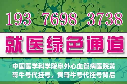 中国医学科学院阜外心血管病医院黄哥牛号代挂号，黄哥牛号代挂号背后的故事，阜外心血管病医院的探索与挑战