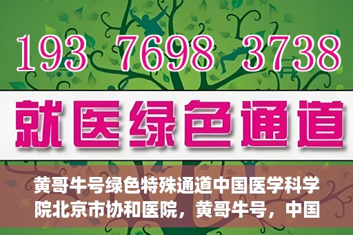 黄哥牛号绿色特殊通道中国医学科学院北京市协和医院，黄哥牛号，中国医学科学院北京市协和医院开启绿色特殊通道助力健康前行