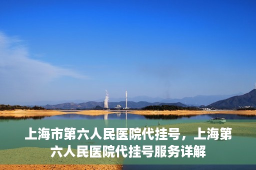 上海市第六人民医院代挂号，上海第六人民医院代挂号服务详解