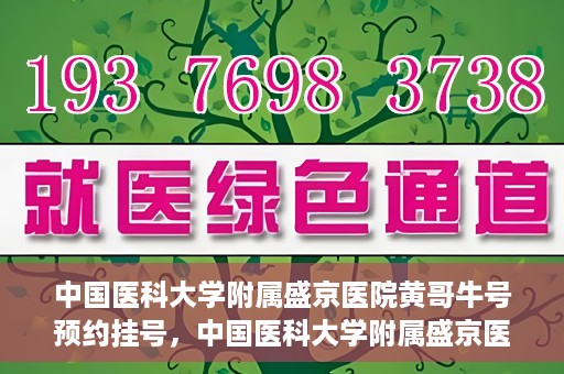 中国医科大学附属盛京医院黄哥牛号预约挂号，中国医科大学附属盛京医院黄哥牛号，预约挂号指南