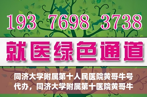同济大学附属第十人民医院黄哥牛号代办，同济大学附属第十医院黄哥牛号预约代办服务解析
