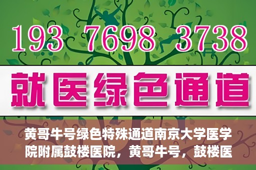 黄哥牛号绿色特殊通道南京大学医学院附属鼓楼医院，黄哥牛号，鼓楼医院开启绿色特殊通道助力健康之路