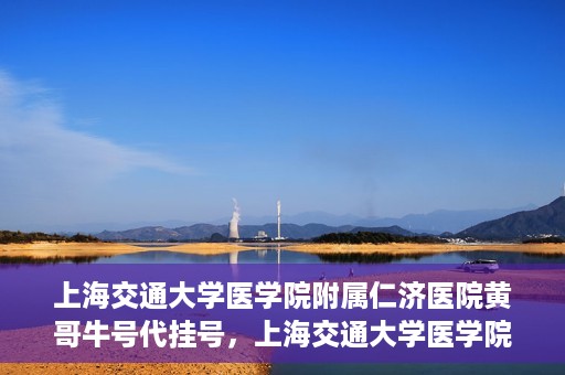 上海交通大学医学院附属仁济医院黄哥牛号代挂号，上海交通大学医学院附属仁济医院黄哥牛号挂号攻略揭秘