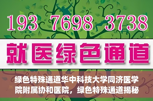绿色特殊通道华中科技大学同济医学院附属协和医院，绿色特殊通道揭秘，华中科技大学同济医学院附属协和医院的故事