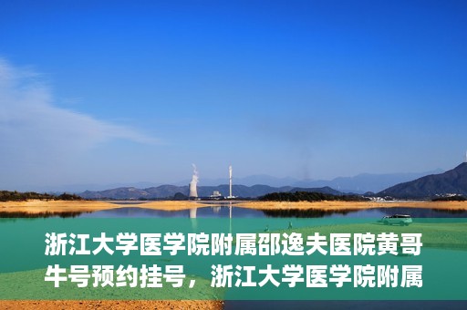 浙江大学医学院附属邵逸夫医院黄哥牛号预约挂号，浙江大学医学院附属邵逸夫医院黄哥名医号预约挂号攻略