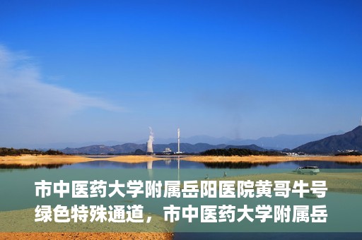 市中医药大学附属岳阳医院黄哥牛号绿色特殊通道，市中医药大学附属岳阳医院黄哥牛号，绿色特殊通道开启健康之门