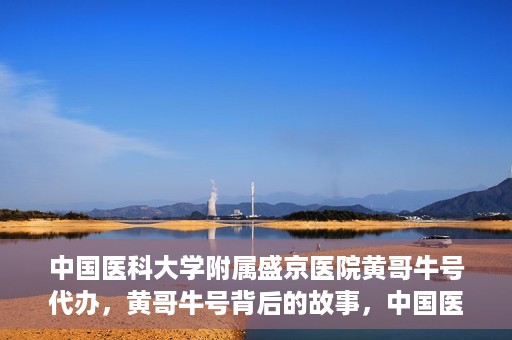 中国医科大学附属盛京医院黄哥牛号代办，黄哥牛号背后的故事，中国医科大学附属盛京医院的信赖之选