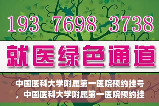 中国医科大学附属第一医院预约挂号，中国医科大学附属第一医院预约挂号指南，一站式解决您的就医难题