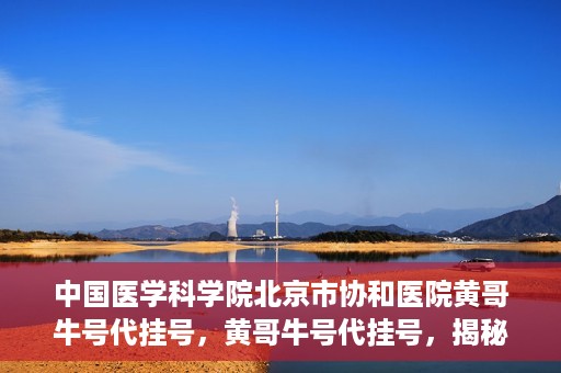 中国医学科学院北京市协和医院黄哥牛号代挂号，黄哥牛号代挂号，揭秘中国医学科学院北京市协和医院挂号背后的故事