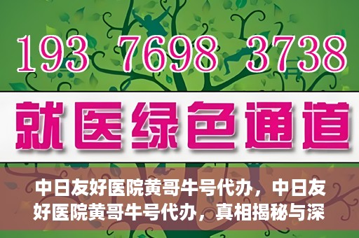 中日友好医院黄哥牛号代办，中日友好医院黄哥牛号代办，真相揭秘与深度解析