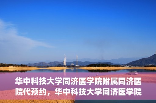华中科技大学同济医学院附属同济医院代预约，华中科技大学同济医学院附属同济医院便捷预约服务解析